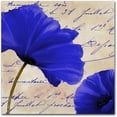 thumbnail image 1 of Trademark Fine Art "Coquelicots Bleues II" Canvas Art by Color Bakery, 1 of 1