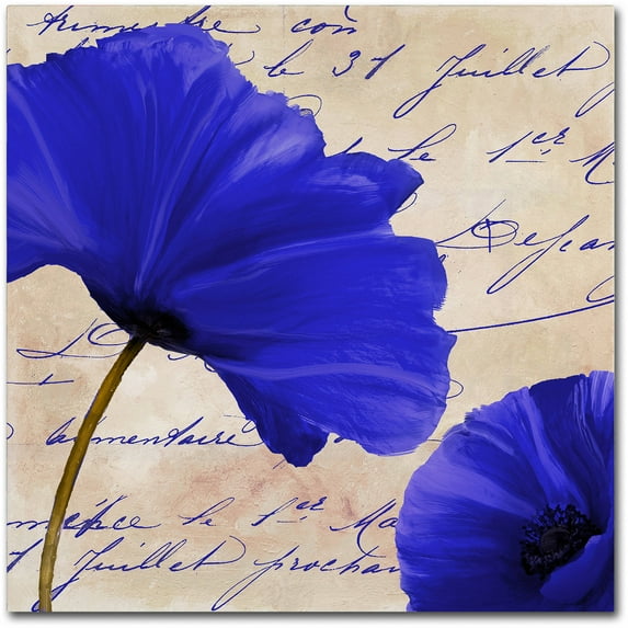 Trademark Fine Art "Coquelicots Bleues II" Canvas Art by Color Bakery