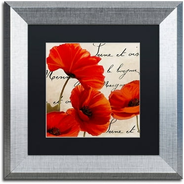Trademark Fine Art "Coquelicots Rouge I" Canvas Art by Color Bakery Black Matte, Silver Frame