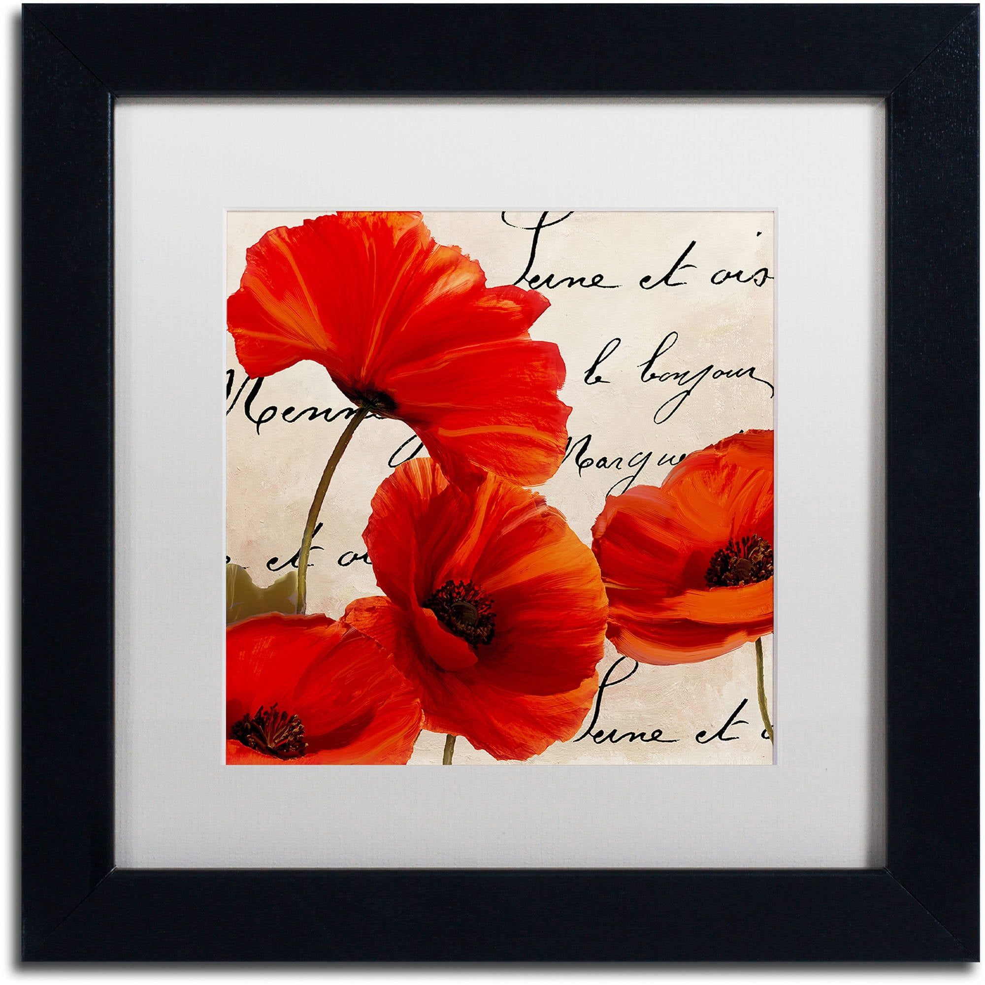 Trademark Fine Art "Coquelicots Rouge I" Canvas Art by Color Bakery White Matte, Black Frame