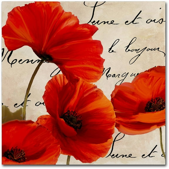 Trademark Fine Art "Coquelicots Rouge I" Canvas Art by Color Bakery