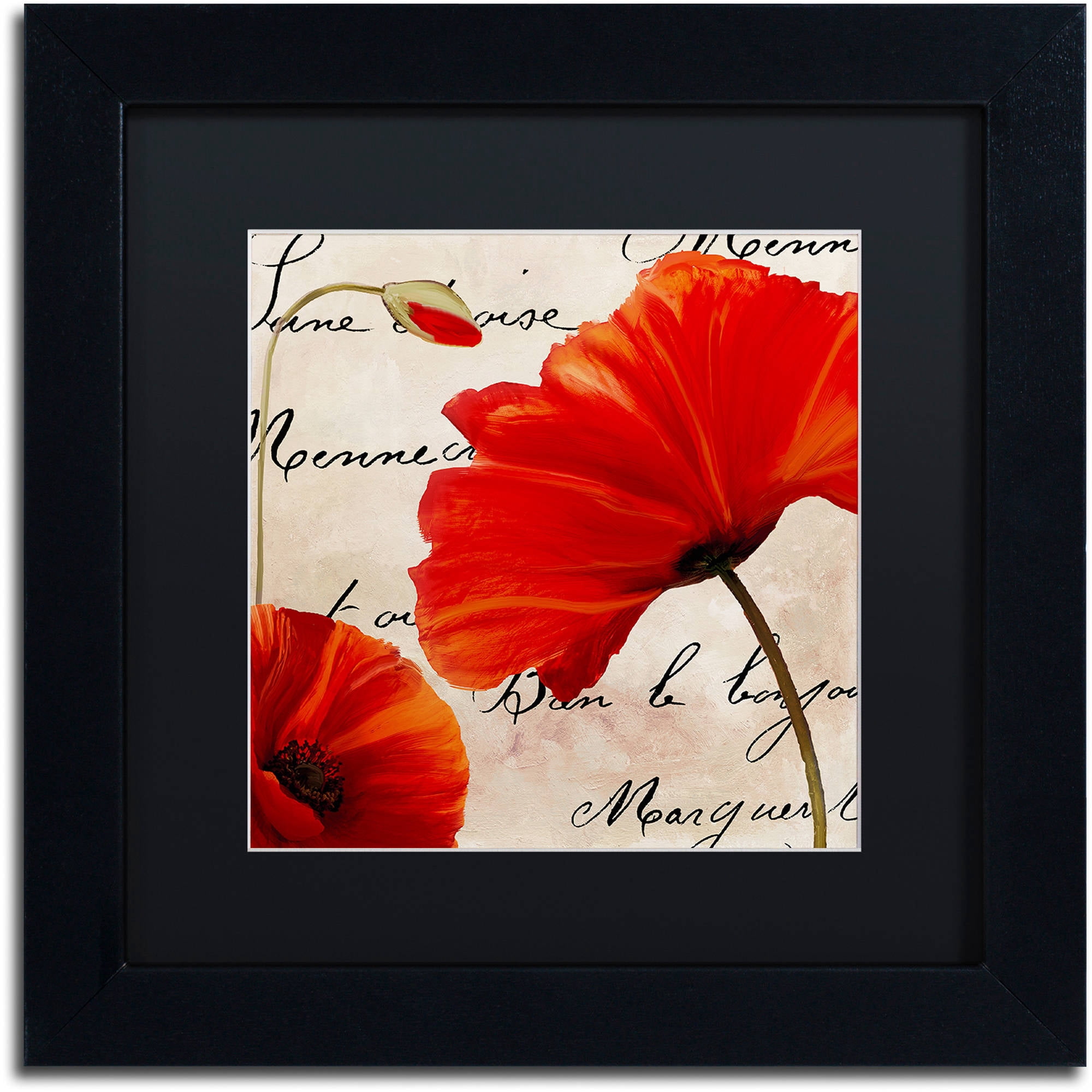 Trademark Fine Art "Coquelicots Rouge II" Canvas Art by Color Bakery Black Matte, Black Frame
