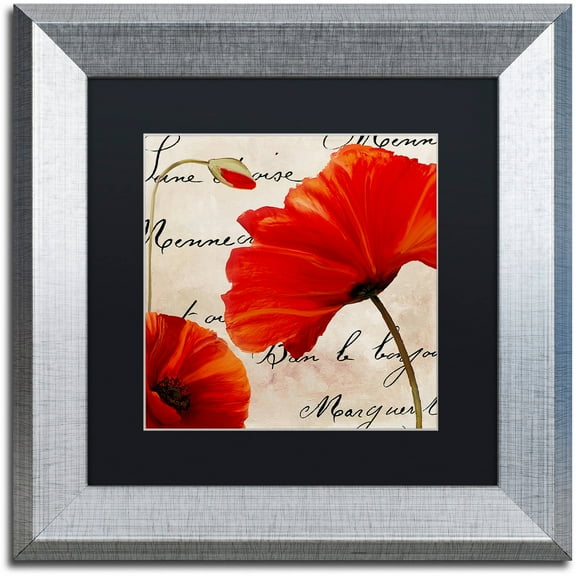 Trademark Fine Art "Coquelicots Rouge II" Canvas Art by Color Bakery Black Matte, Silver Frame