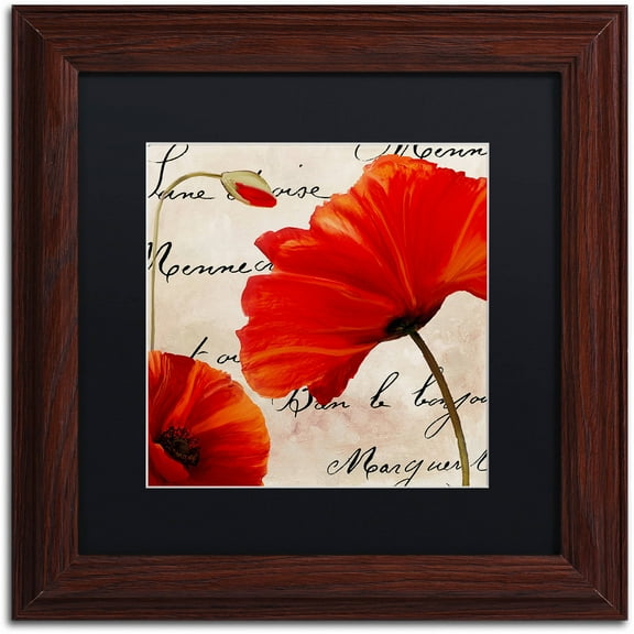 Trademark Fine Art "Coquelicots Rouge II" Canvas Art by Color Bakery Black Matte, Wood Frame