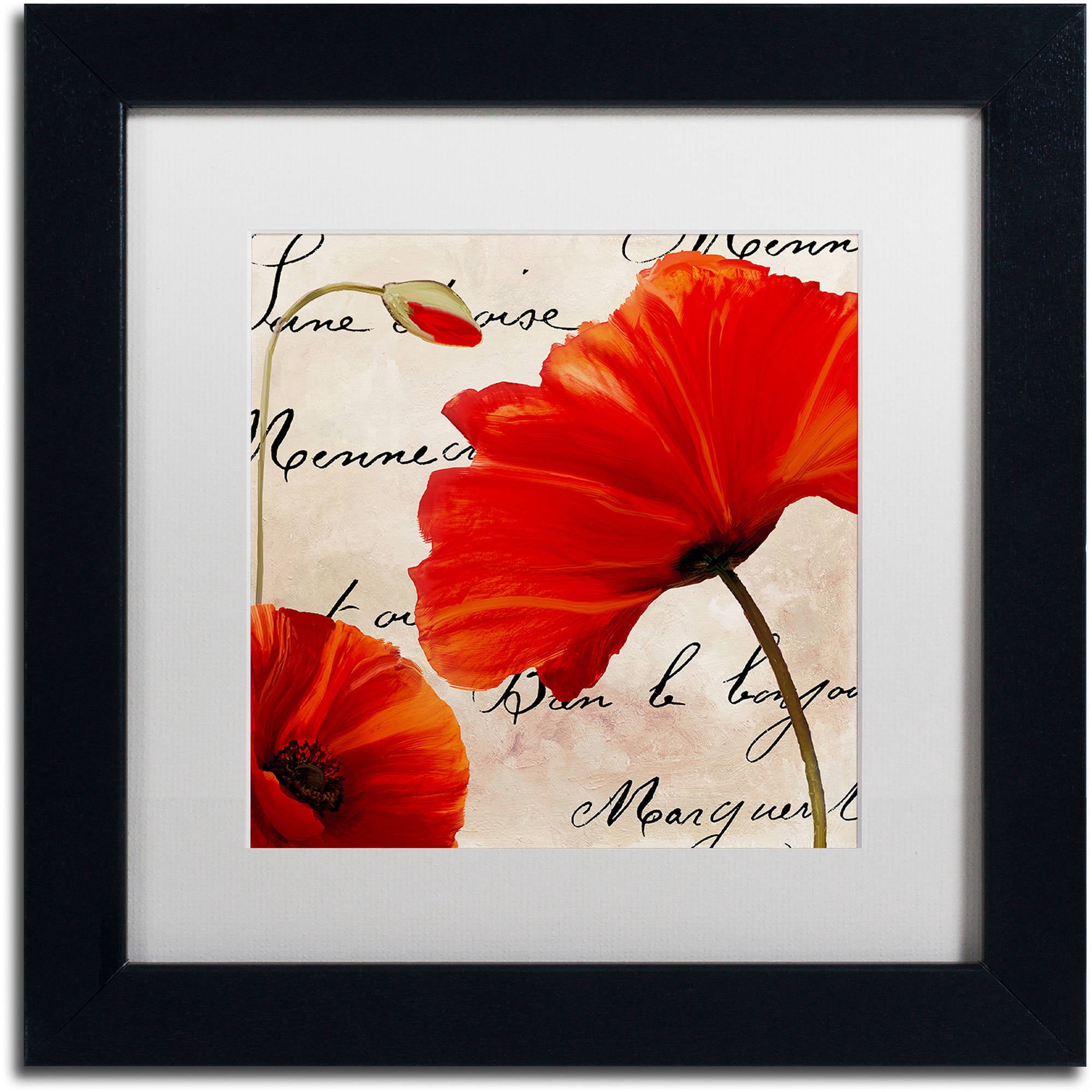 Trademark Fine Art "Coquelicots Rouge II" Canvas Art by Color Bakery White Matte, Black Frame