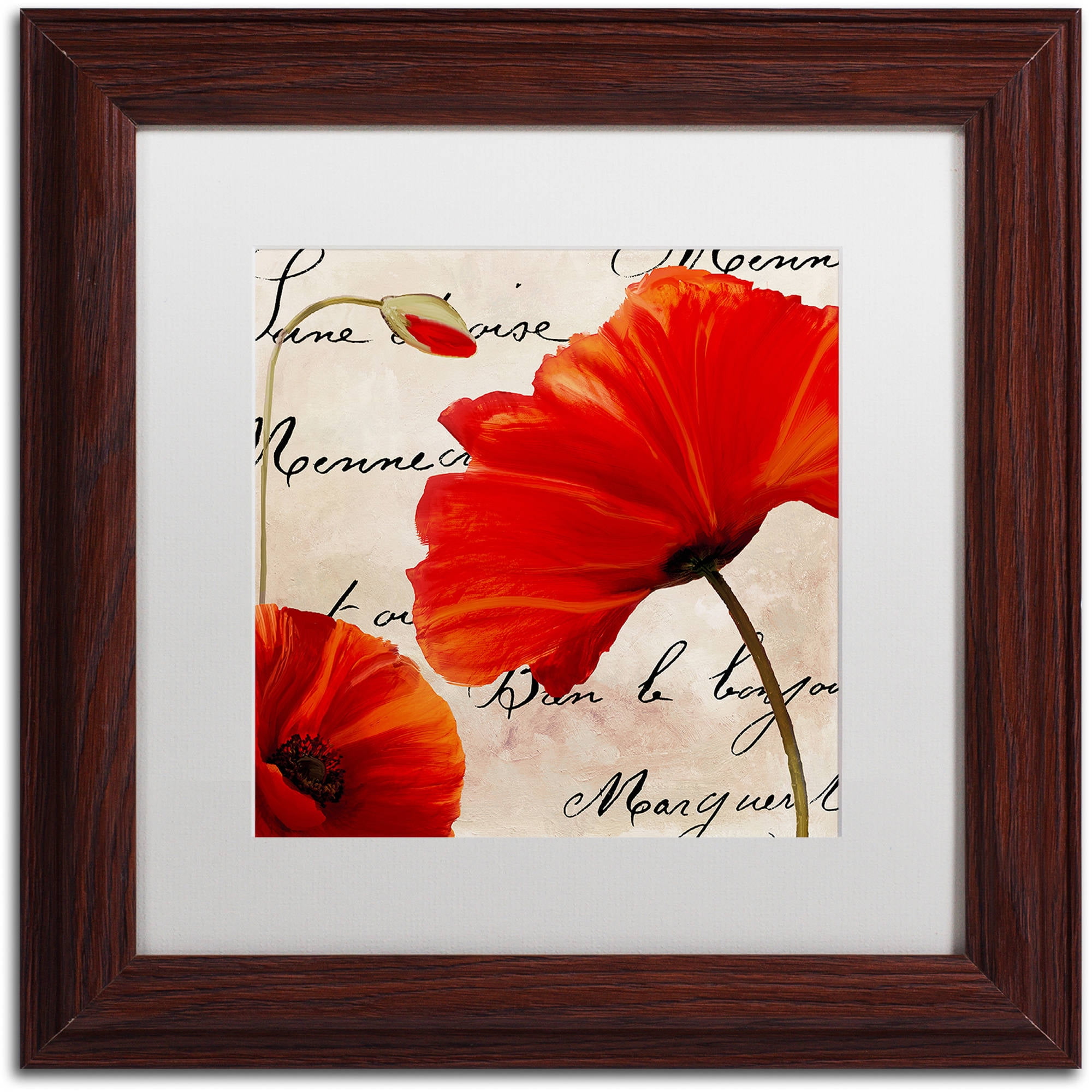 Trademark Fine Art "Coquelicots Rouge II" Canvas Art by Color Bakery White Matte, Wood Frame