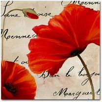 Trademark Fine Art "Coquelicots Rouge II" Canvas Art by Color Bakery