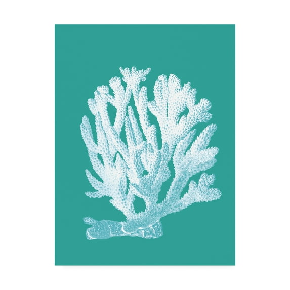 Trademark Fine Art 'Coral 1 White On Turquoise' Canvas Art by Fab Funky