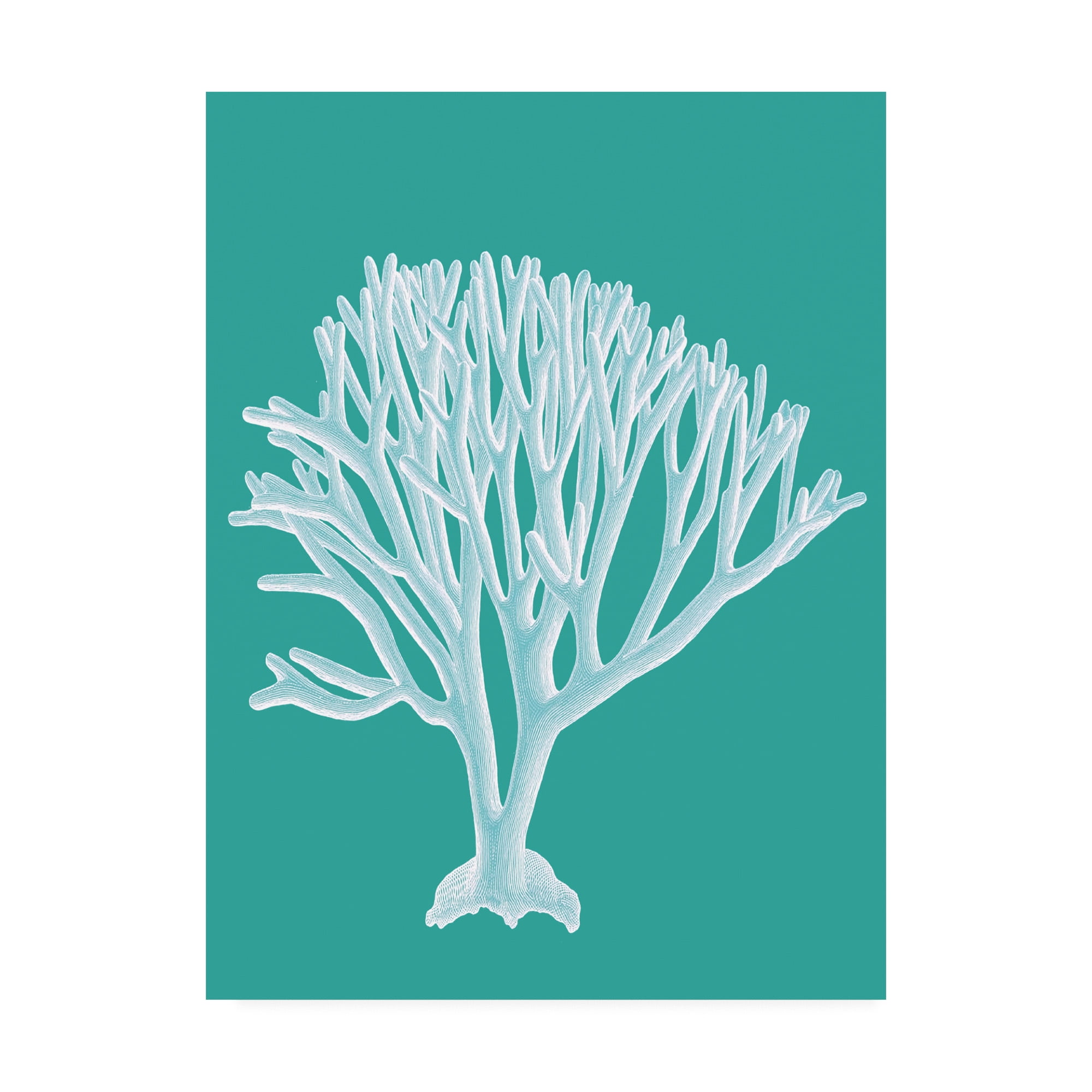 Trademark Fine Art 'Coral 2 White On Turquoise' Canvas Art by Fab Funky