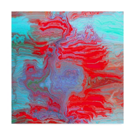 Trademark Fine Art 'Coral Glass II' Canvas Art by Danielle Harrington
