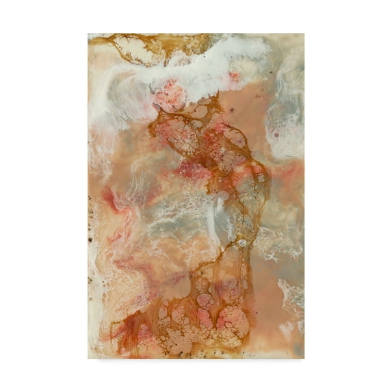 Trademark Fine Art 'Coral Lace I' Canvas Art by Jennifer Goldberger