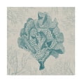 thumbnail image 1 of Trademark Fine Art 'Coral Motif IV' Canvas Art by Vision Studio, 1 of 4