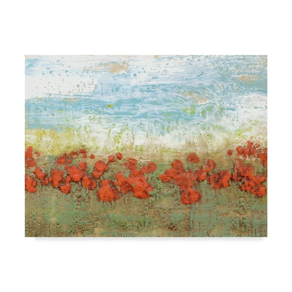 Trademark Fine Art 'Coral Poppies I' Canvas Art by Jennifer Goldberger