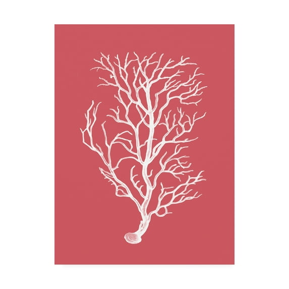 Trademark Fine Art 'Corals White on Coral b' Canvas Art by Fab Funky