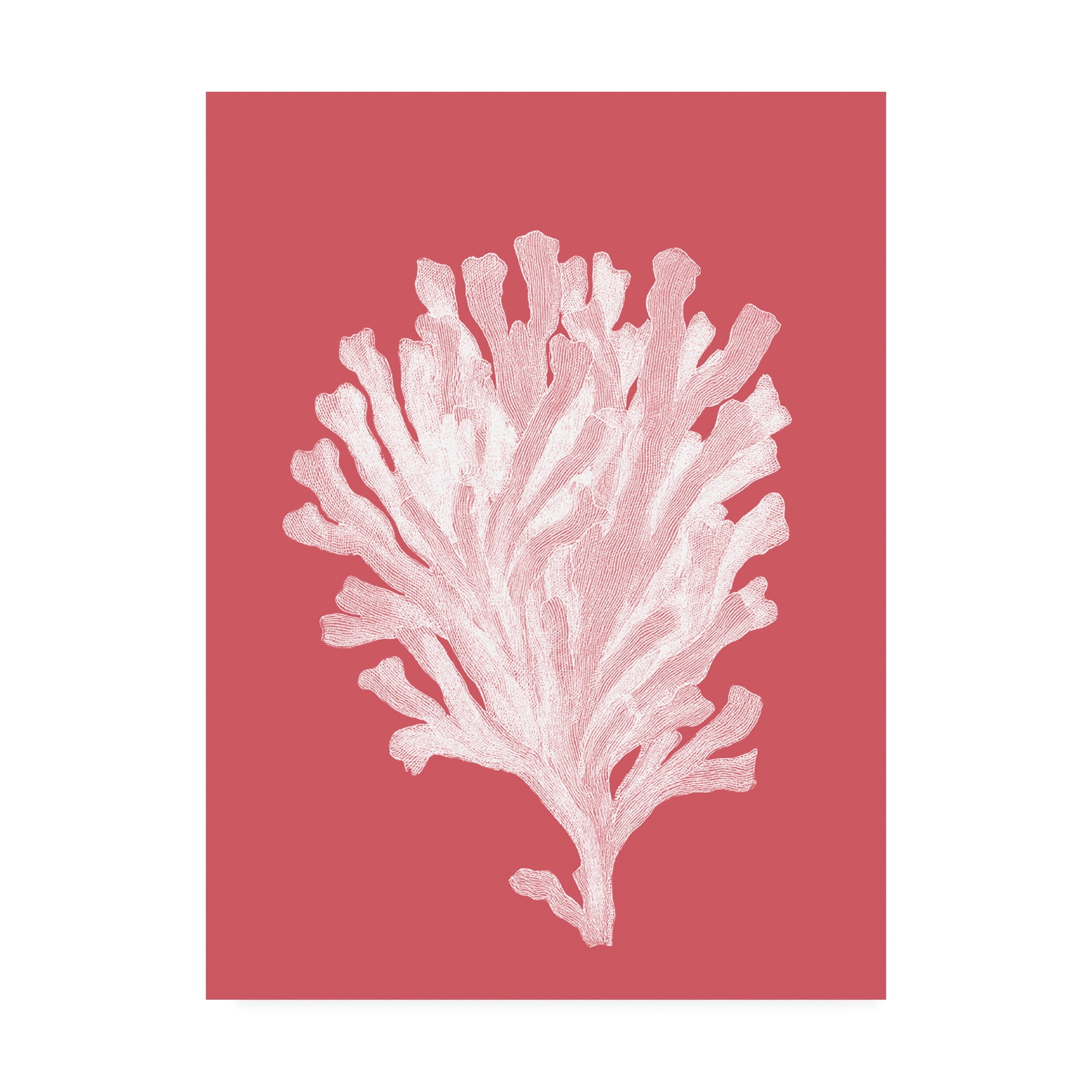 Trademark Fine Art 'Corals White on Coral d' Canvas Art by Fab Funky