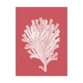 thumbnail image 1 of Trademark Fine Art 'Corals White on Coral d' Canvas Art by Fab Funky, 1 of 3