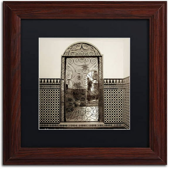 Trademark Fine Art "Cordoba I" Canvas Art by Alan Blaustein, Black Matte, Wood Frame