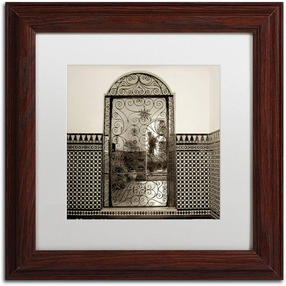 Trademark Fine Art "Cordoba I" Canvas Art by Alan Blaustein, White Matte, Wood Frame