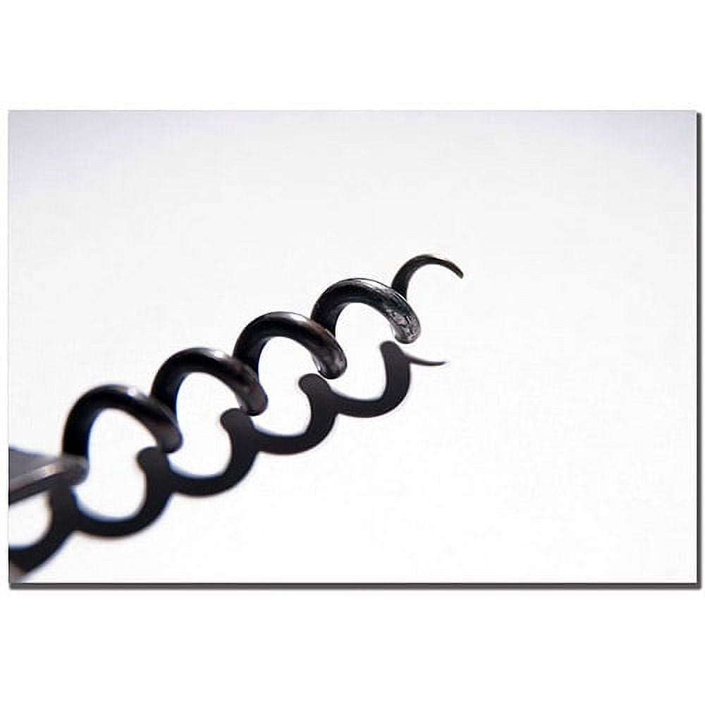 Trademark Fine Art "Corkscrew" Canvas Art by Tammy Davison