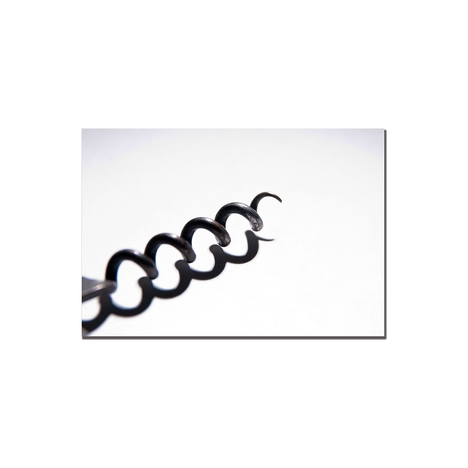Trademark Fine Art "Corkscrew" Canvas Art by Tammy Davison