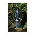 thumbnail image 1 of Trademark Fine Art 'Corkscrew Falls Ohio' Canvas Art by Alan Majchrowicz, 1 of 3