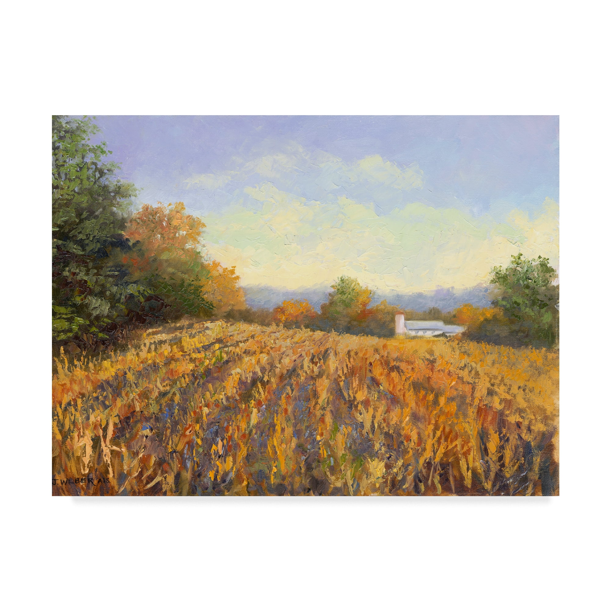 Trademark Fine Art 'Corn Rows' Canvas Art by Mary Jean Weber