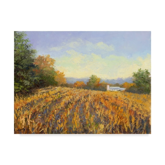 Trademark Fine Art 'Corn Rows' Canvas Art by Mary Jean Weber