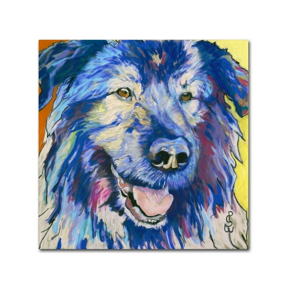 Trademark Fine Art 'Cornelious' Canvas Art by Pat Saunders-White