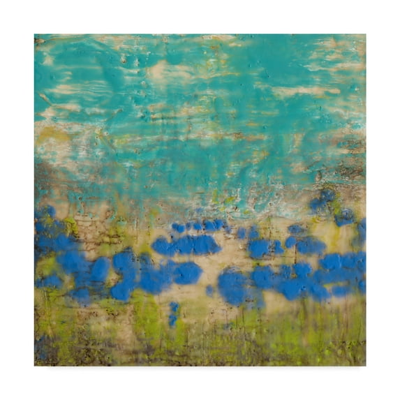 Trademark Fine Art 'Cornflower Poppies I' Canvas Art by Jennifer Goldberger