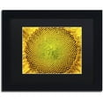 thumbnail image 1 of Trademark Fine Art "Cosmic Patterns in Nature" Canvas Art by Kurt Shaffer, Black Matte, Black Frame, 1 of 1