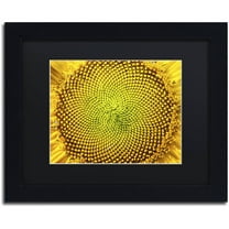 Trademark Fine Art "Cosmic Patterns in Nature" Canvas Art by Kurt Shaffer, Black Matte, Black Frame