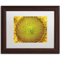 Trademark Fine Art "Cosmic Patterns in Nature" Canvas Art by Kurt Shaffer, White Matte, Wood Frame
