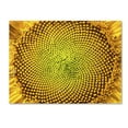 thumbnail image 1 of Kurt Shaffer 'Cosmic Patterns in Nature' Canvas Art 18 x 24, 1 of 3