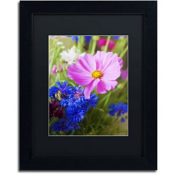 Trademark Fine Art "Cosmo" Canvas Art by Philippe Sainte-Laudy, Black Matte, Black Frame