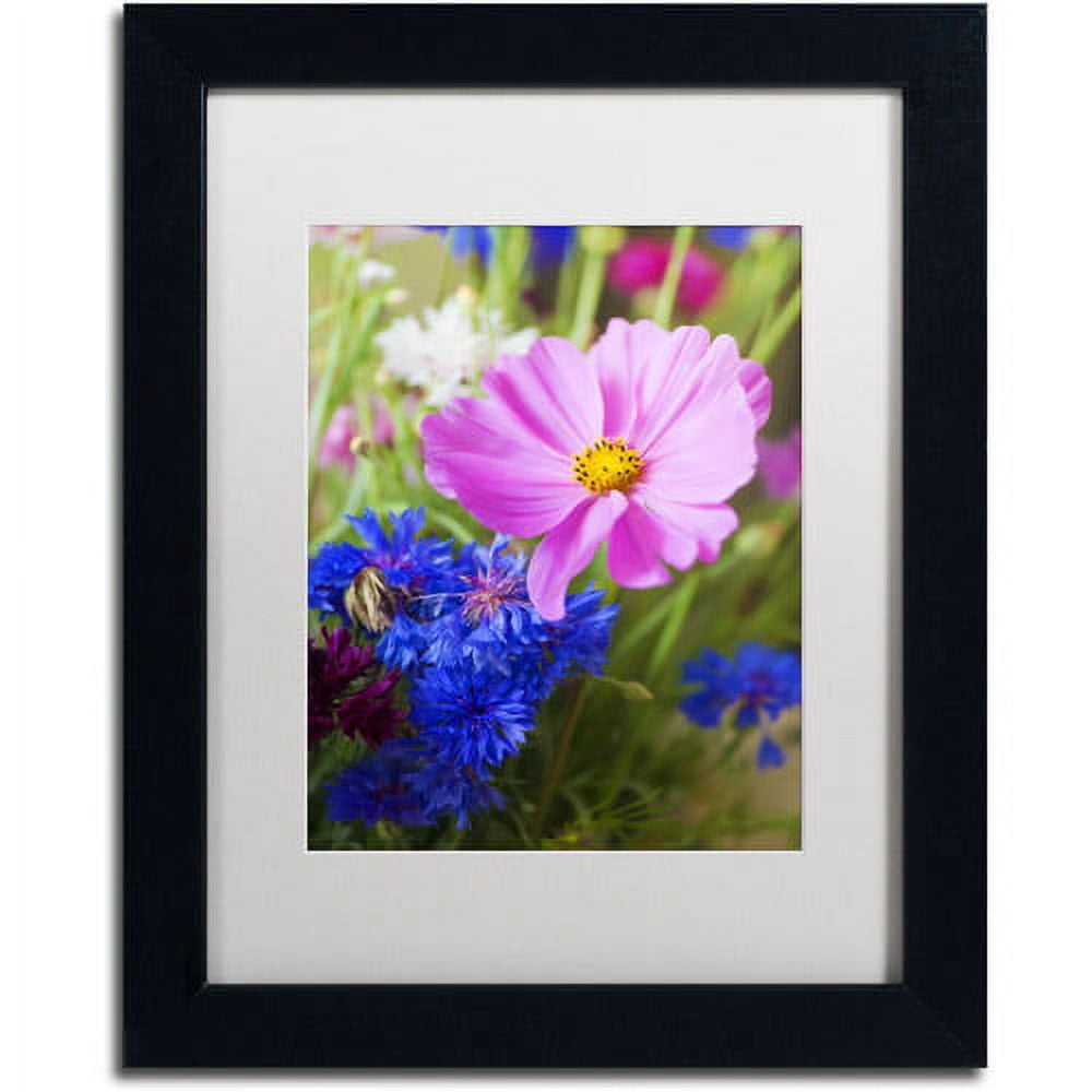 Trademark Fine Art "Cosmo" Canvas Art by Philippe Sainte-Laudy, White Matte, Black Frame