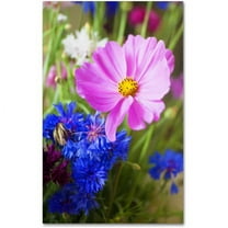 Trademark Fine Art "Cosmo" Canvas Art by Philippe Sainte-Laudy