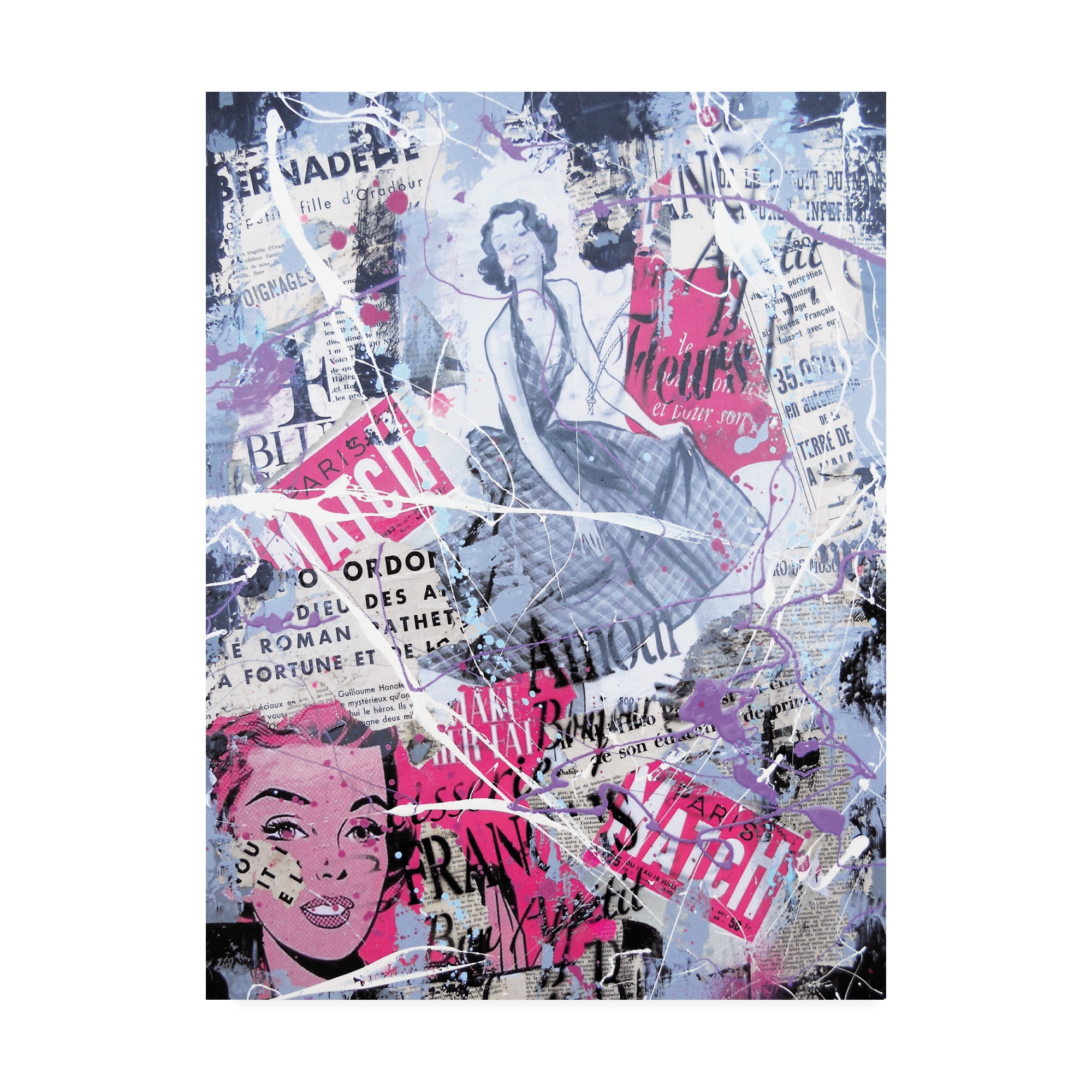 Trademark Fine Art 'Cosmo Collage' Canvas Art by David Drioton