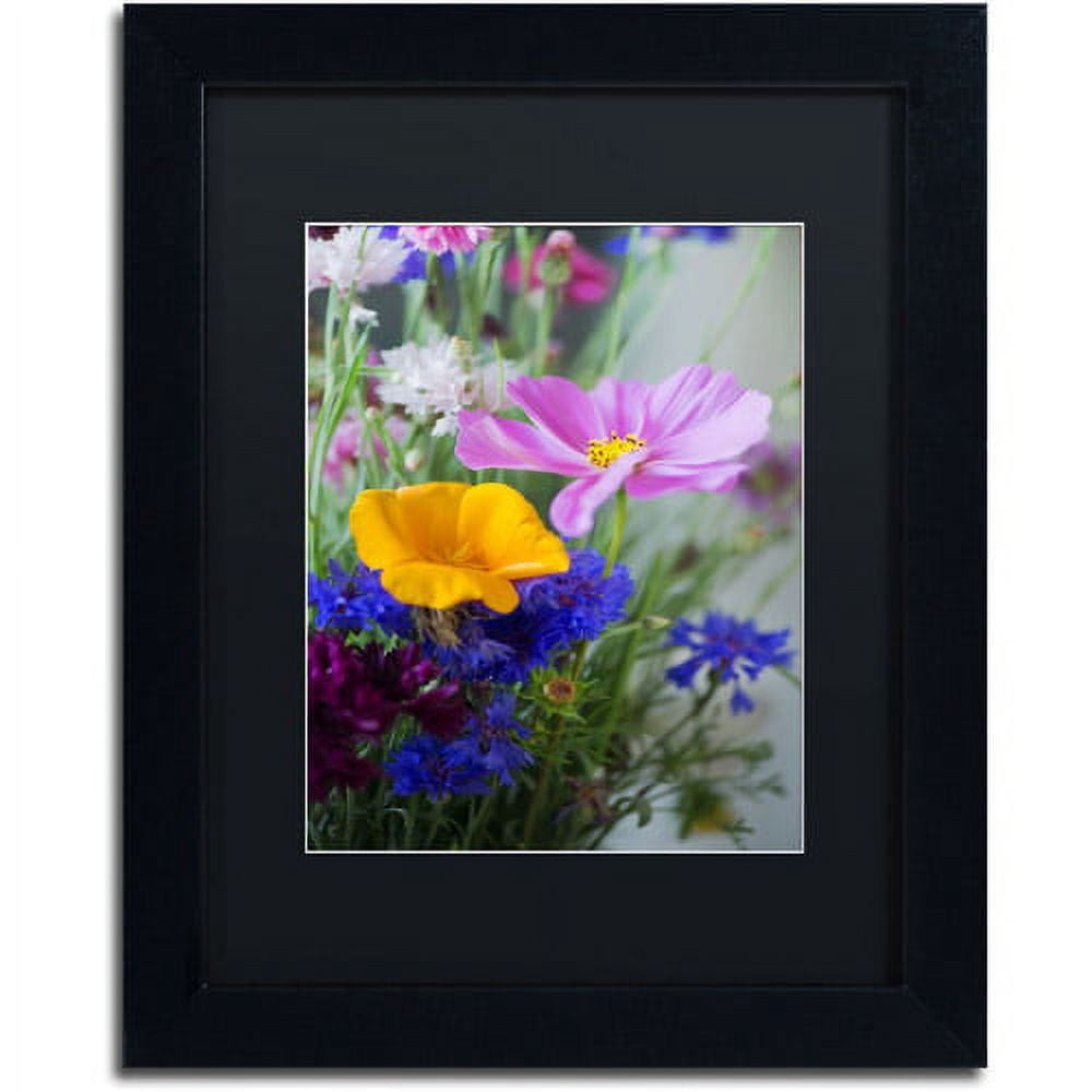 Trademark Fine Art "Cosmo Duo" Canvas Art by Philippe Sainte-Laudy, Black Matte, Black Frame