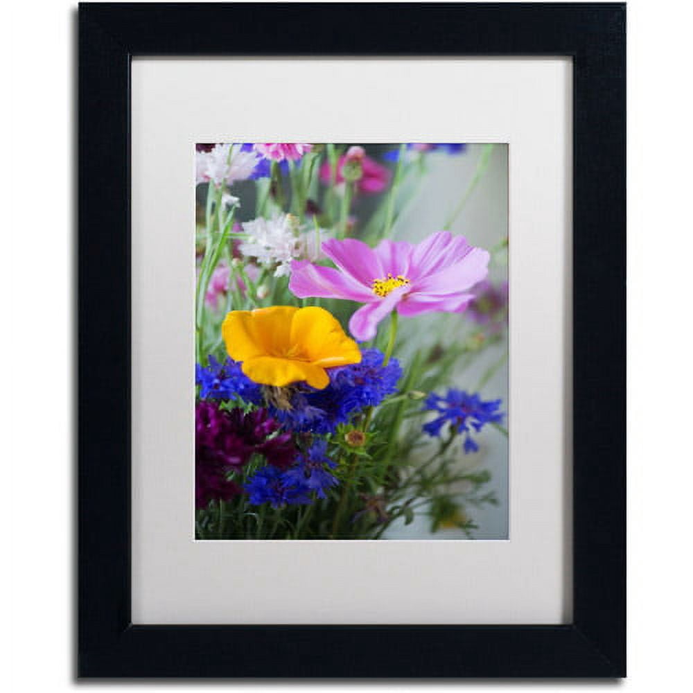 Trademark Fine Art "Cosmo Duo" Canvas Art by Philippe Sainte-Laudy, White Matte, Black Frame