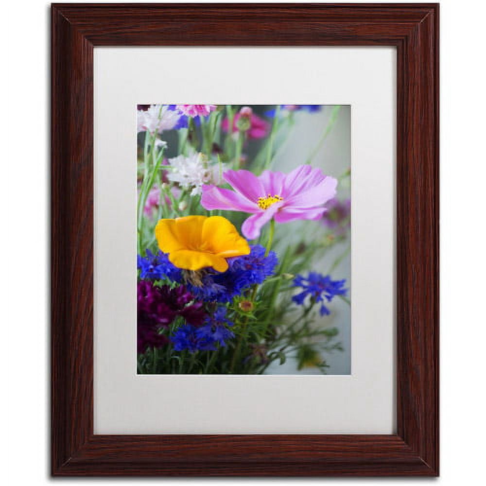 Trademark Fine Art "Cosmo Duo" Canvas Art by Philippe Sainte-Laudy, White Matte, Wood Frame