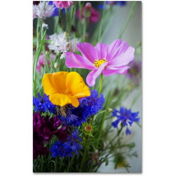 Trademark Fine Art "Cosmo Duo" Canvas Art by Philippe Sainte-Laudy