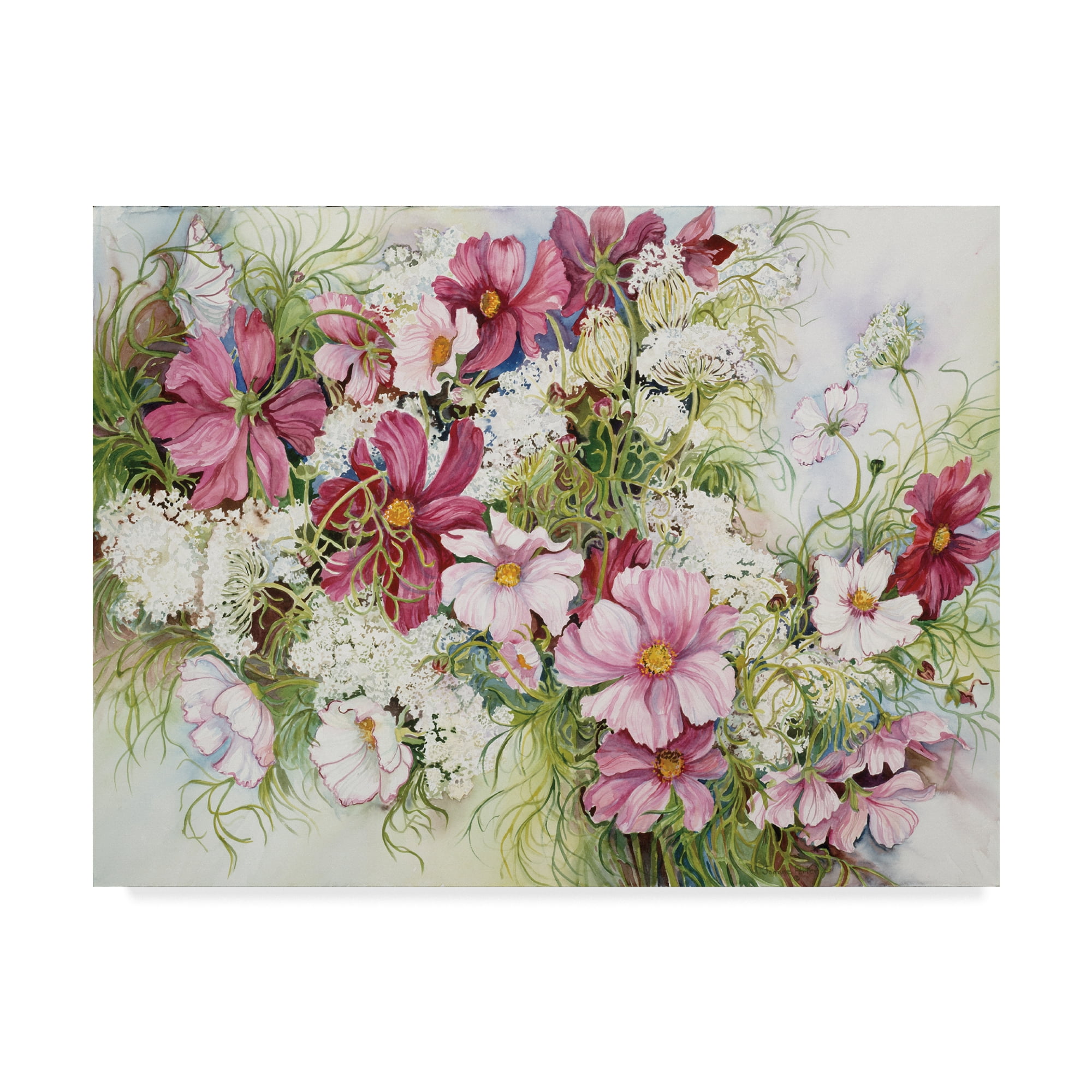 Pink Cosmos and Queen Ann Lace Floral Canvas Art, 24" x 32"