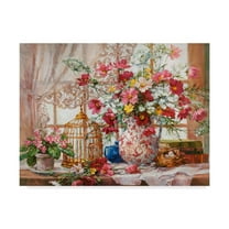 Trademark Fine Art 'Cosmos And Queen Annes Lace' Canvas Art by Barbara Mock