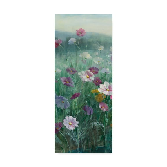 Trademark Fine Art 'Cosmos at Dawn II' Canvas Art by Danhui Nai