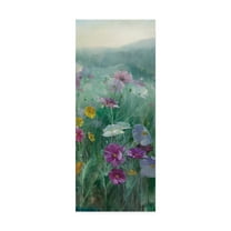 Trademark Fine Art 'Cosmos at Dawn III' Canvas Art by Danhui Nai