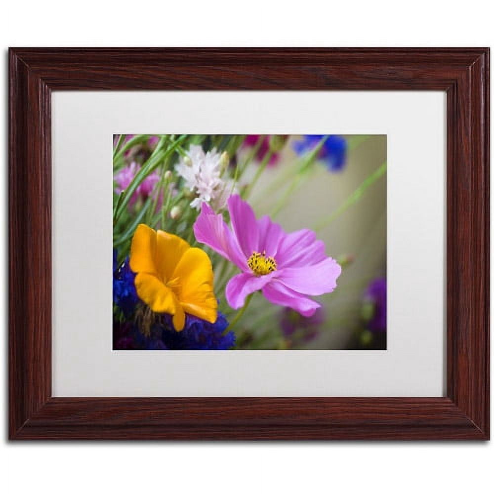 Trademark Fine Art "Cosmos of the Fields" Canvas Art by Philippe Sainte-Laudy, White Matte, Wood Frame