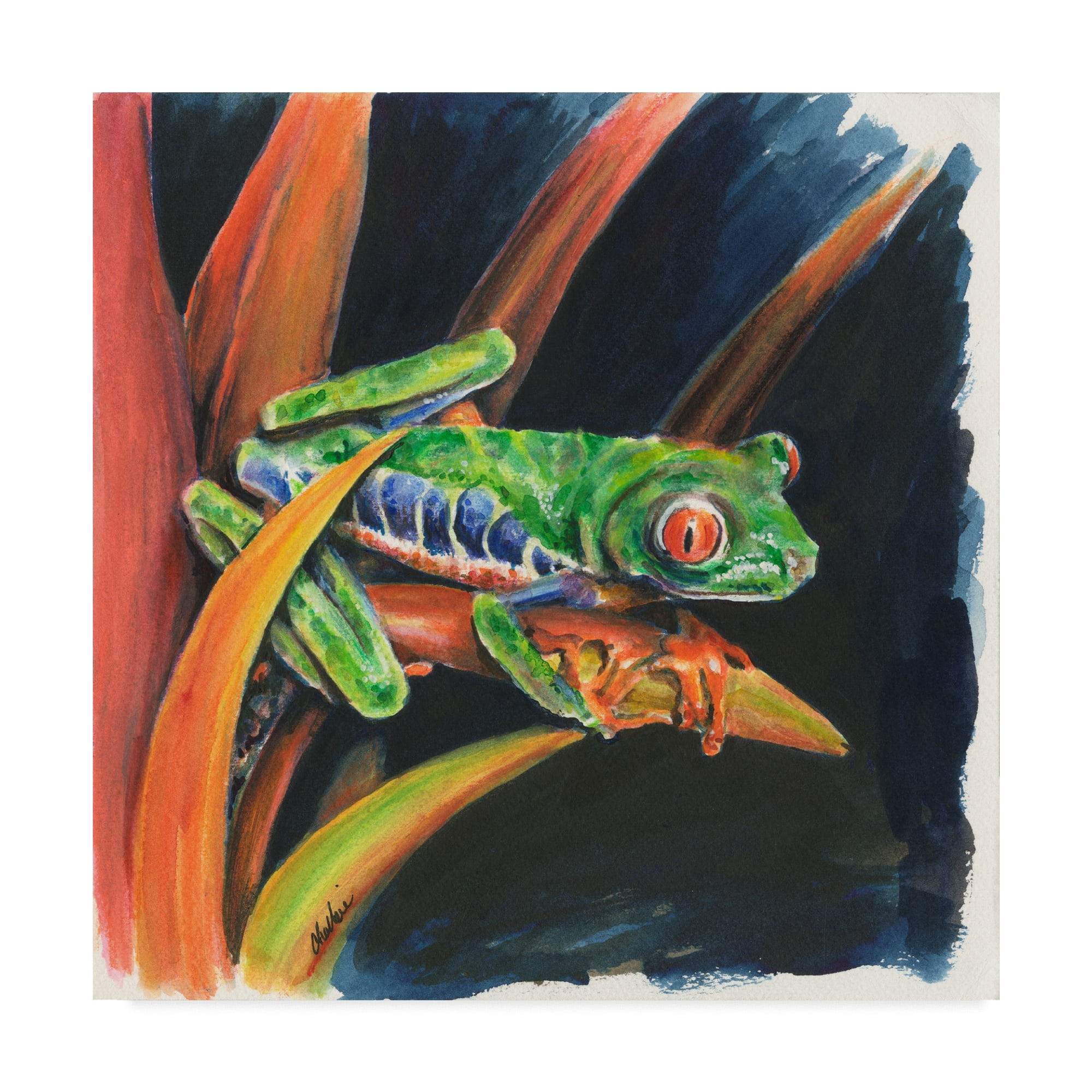 Trademark Fine Art 'Costa Rican Leaping Frog' Canvas Art by Charlsie Kelly