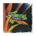 thumbnail image 1 of Trademark Fine Art 'Costa Rican Leaping Frog' Canvas Art by Charlsie Kelly, 1 of 3