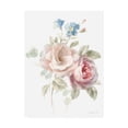 thumbnail image 1 of Trademark Fine Art 'Cottage Garden IV on White' Canvas Art by Danhui Nai, 1 of 3