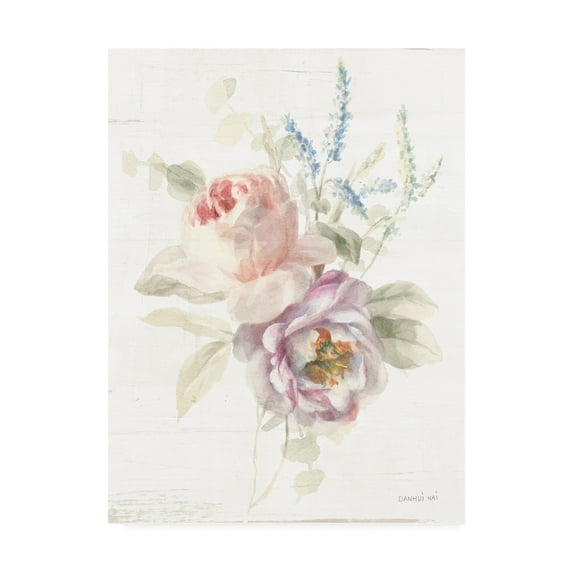 Trademark Fine Art 'Cottage Garden V' Canvas Art by Danhui Nai